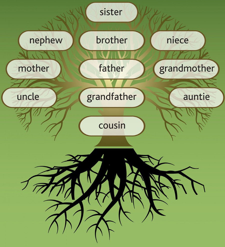 creating-national-identities-through-family-trees-celebrating-being